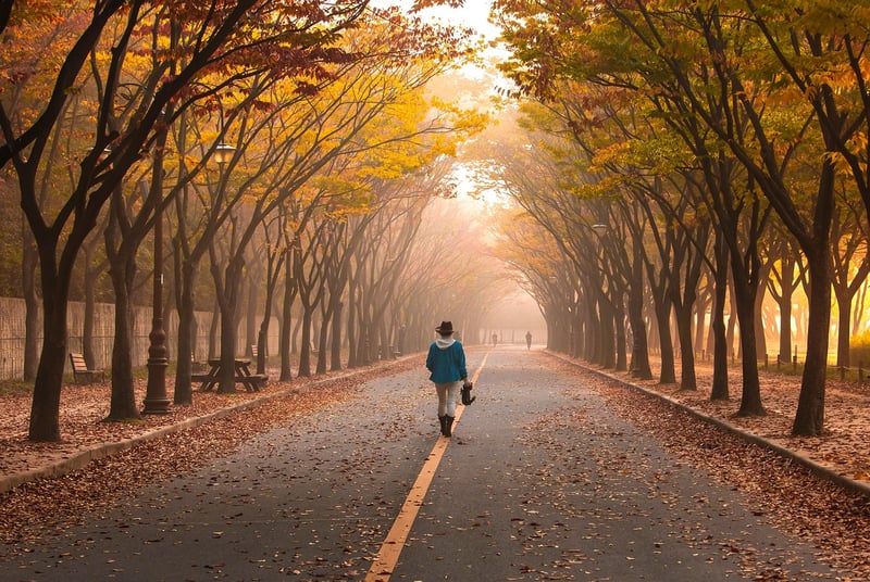 Road to Self-Improvement